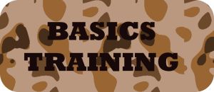 Basics Training Badge